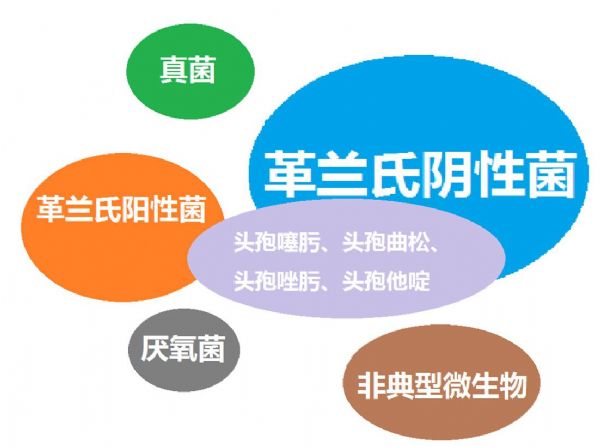 看图“话”抗菌谱，赶紧收藏