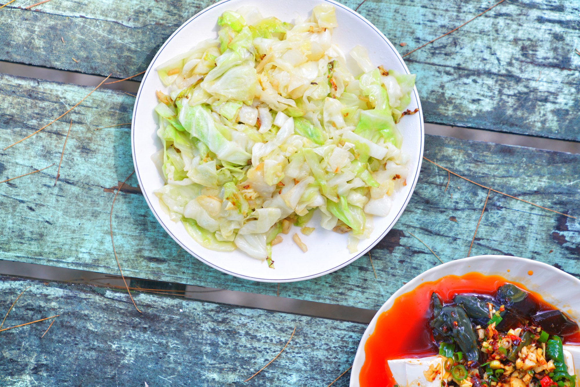 一定是特别的缘分——帕劳,再遇见「周若雪Patty」·上