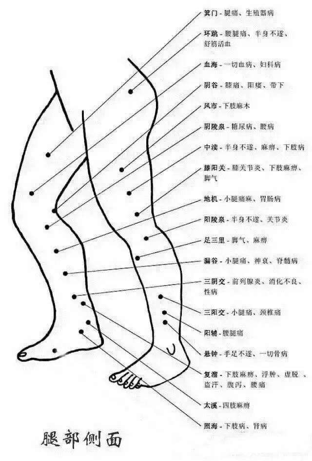 神奇的穴位诊病,神奇的穴位记忆法