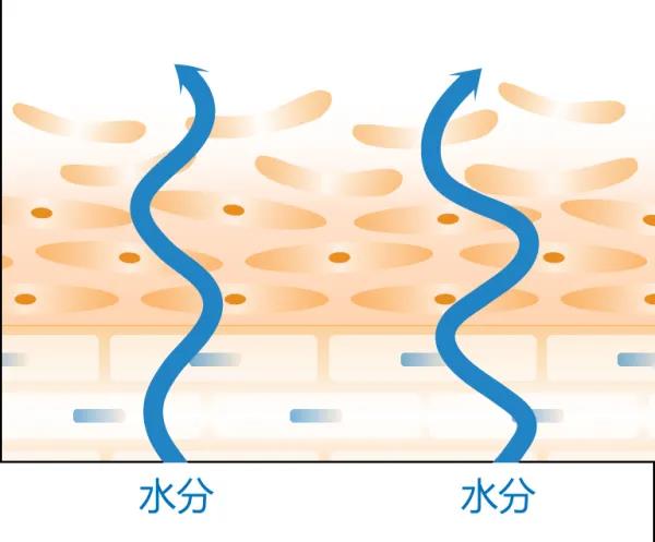 长期熬夜给脸带来的变化,连续半个月熬夜脸会发生什么变化