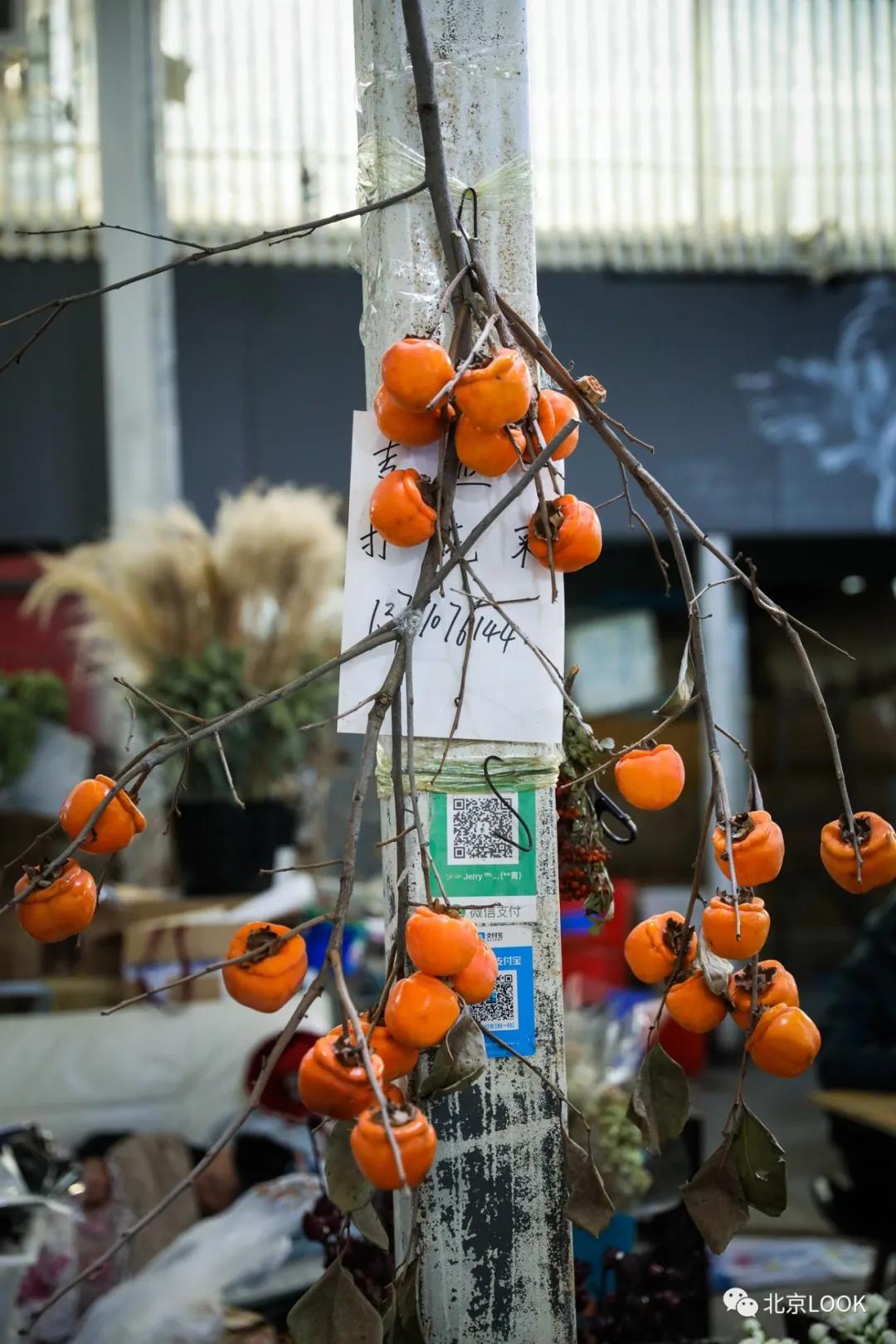 最便宜的北京花市,北京超好逛的花市