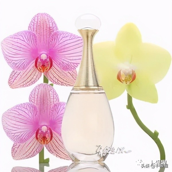 十二星座专属香水,十二星座专属香水品牌