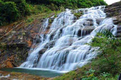 深圳花海公园地址在哪里,深圳中心河公园花海