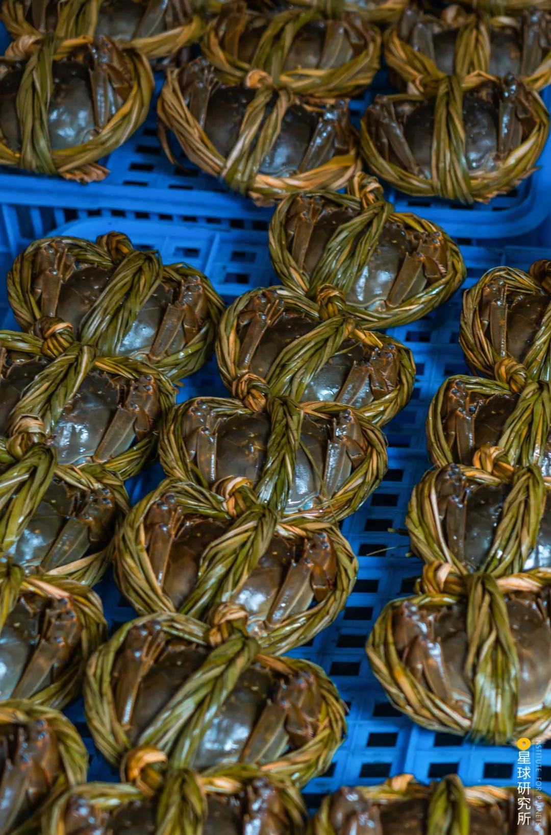 南京高淳哪个区发展最好,南京高淳值得去的风景区免费