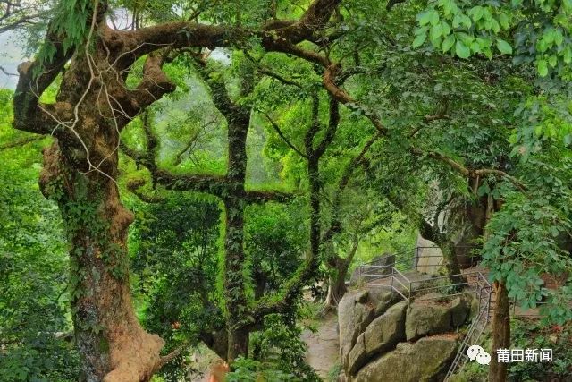 爱你没商量直播吗,爱你没商量海南