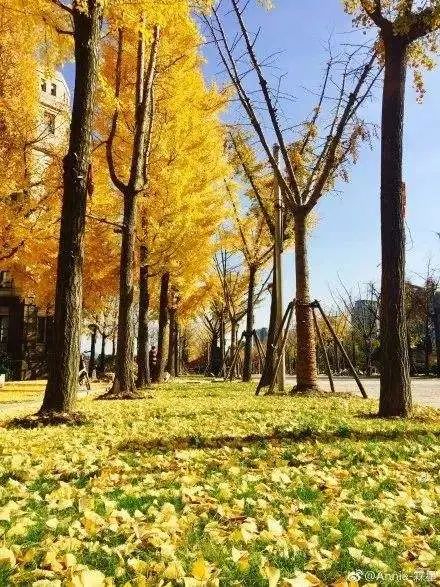 立秋，立秋！这43件事，上海人必须要去做