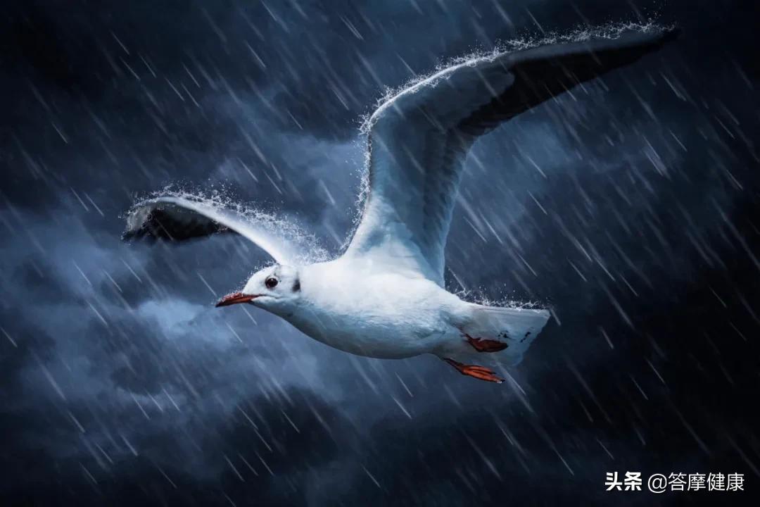 湿疹、犯困…折磨人的「湿邪」到底是什么？怎么辨？怎么治？