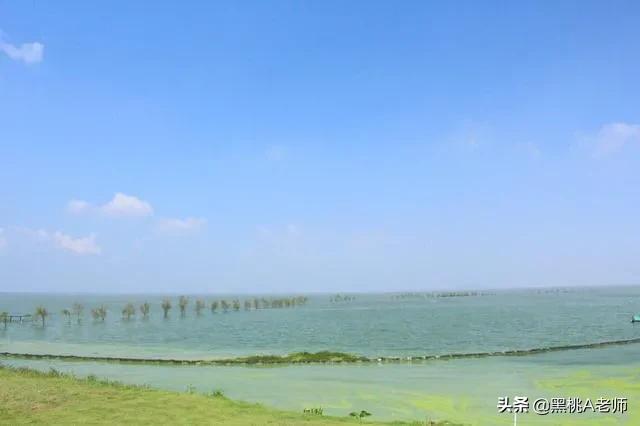 巢湖四中学校咋样,巢湖四中是最强的吗