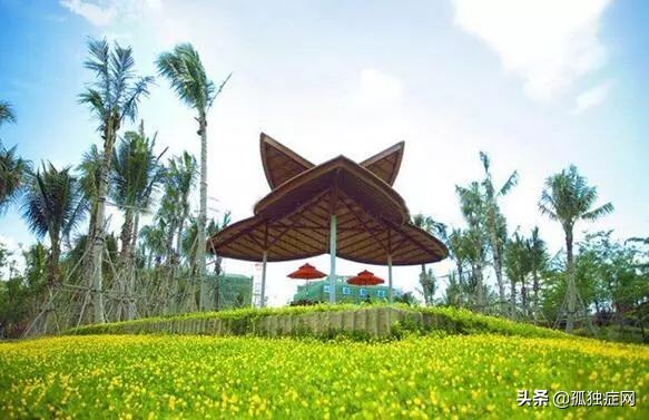 首个异地康达三亚语言发展工作坊，开启康达语言发展新里程碑