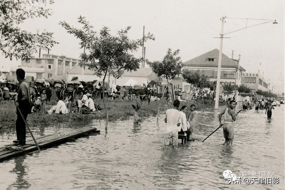 我记忆中的母校作文结尾,我记忆中的母校真的很美好吗
