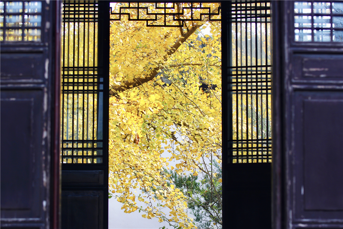 秋天苏州游玩,苏州旅游攻略秋天