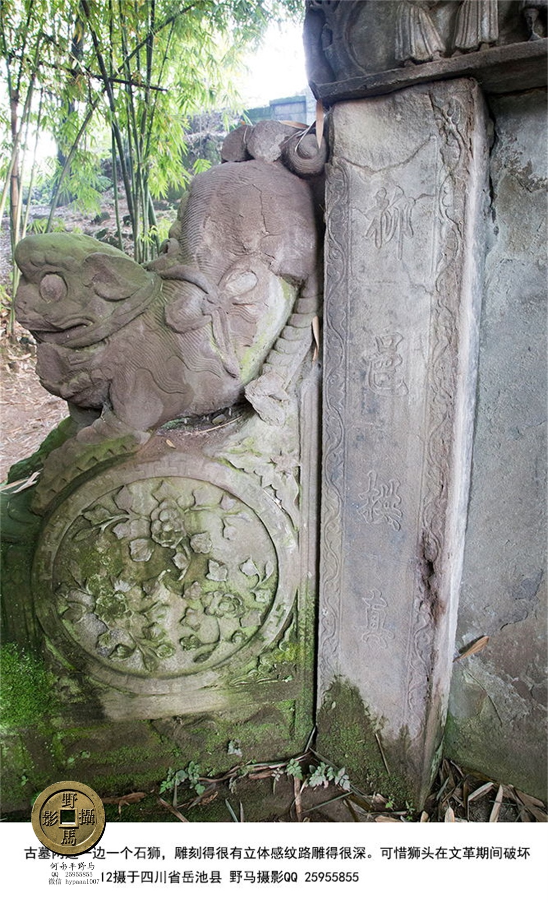 广安撤县名单查询,70年广安县有多少个人民公社