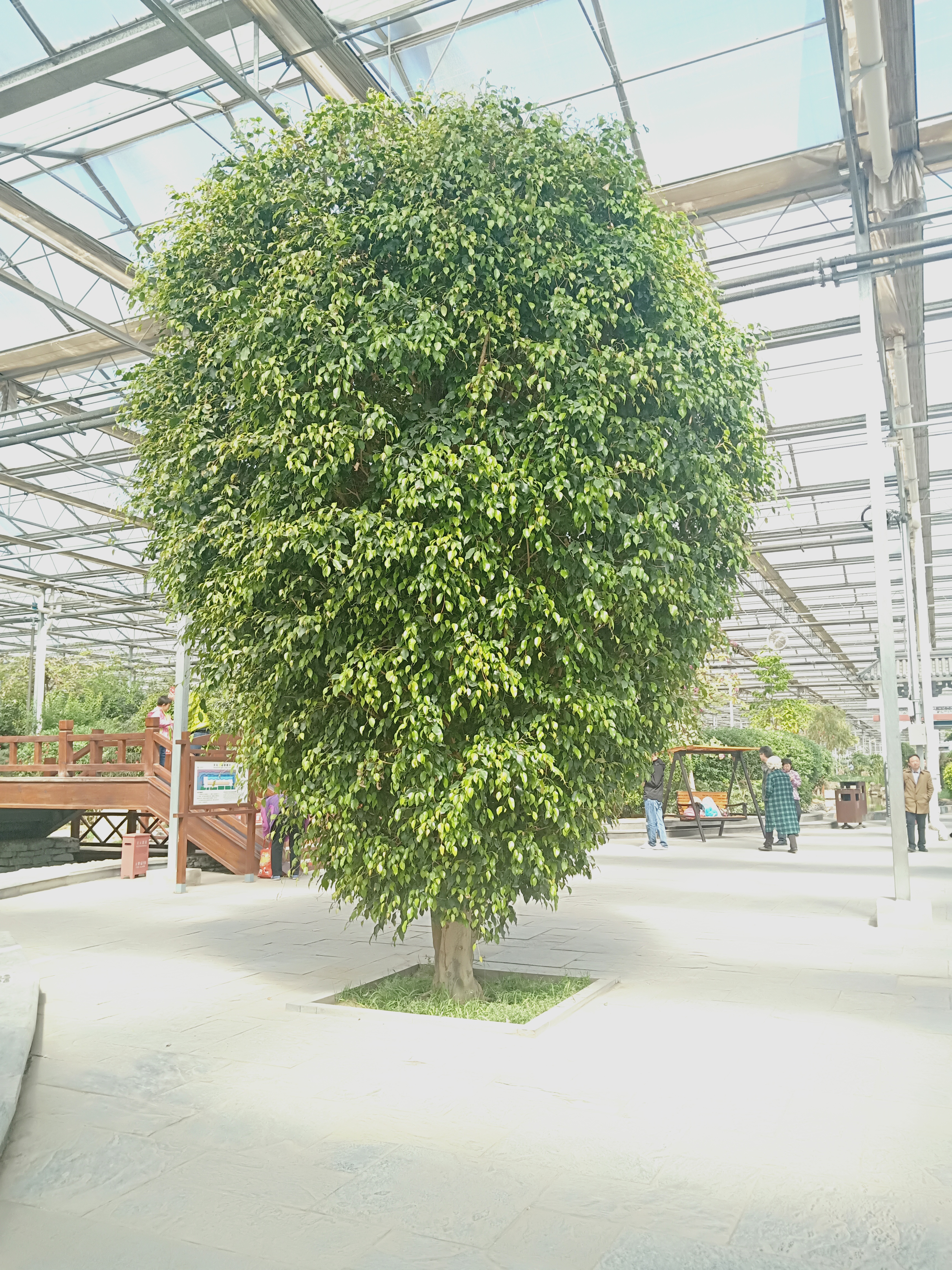 廊坊九天谷休闲景区,廊坊九天休闲谷好玩吗