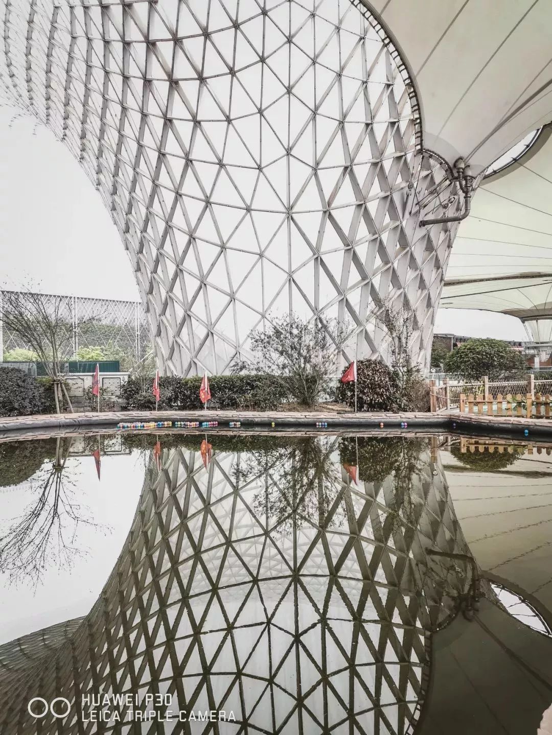 上海魔都最火网红,魔都网红打卡地