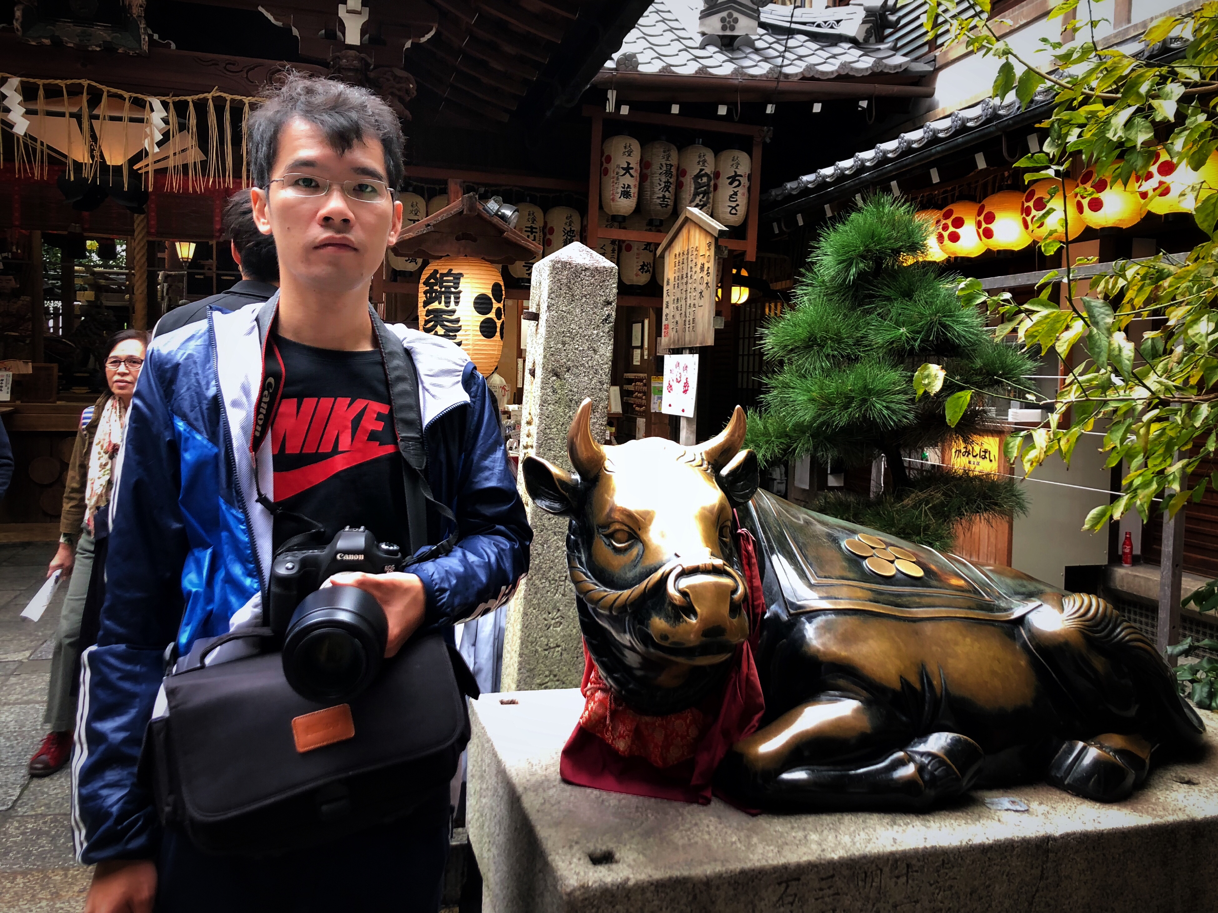 八坂神社和清水寺有何不同,伏见稻田清水寺八坂神社
