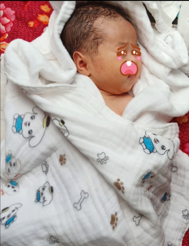 待产必备品实用清单,母猫待产必备物品清单