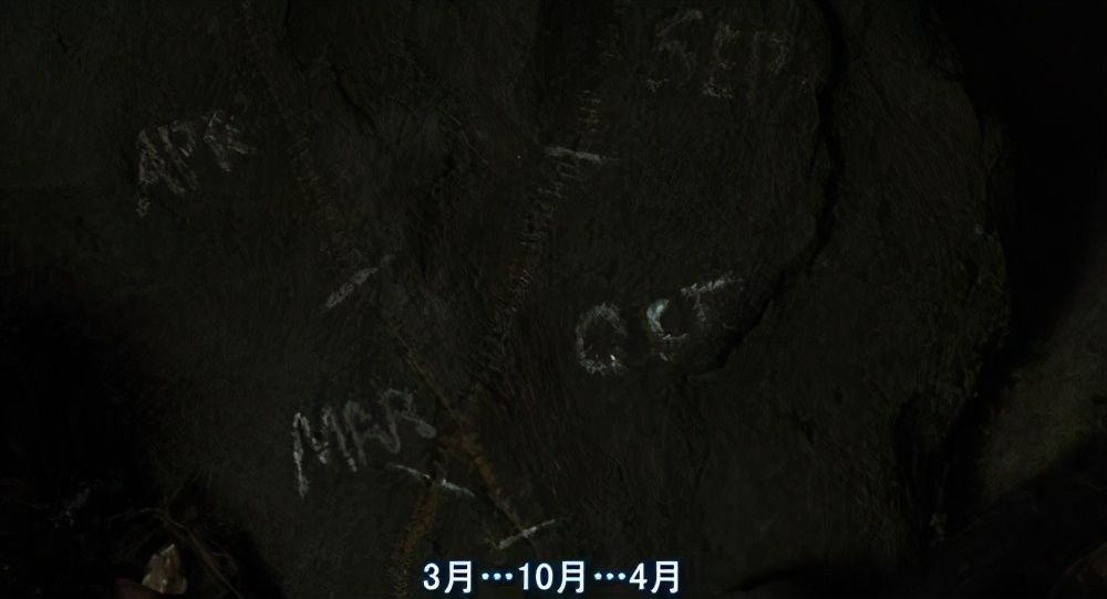 没有经历绝望请勇敢面对生活-《荒岛余生》