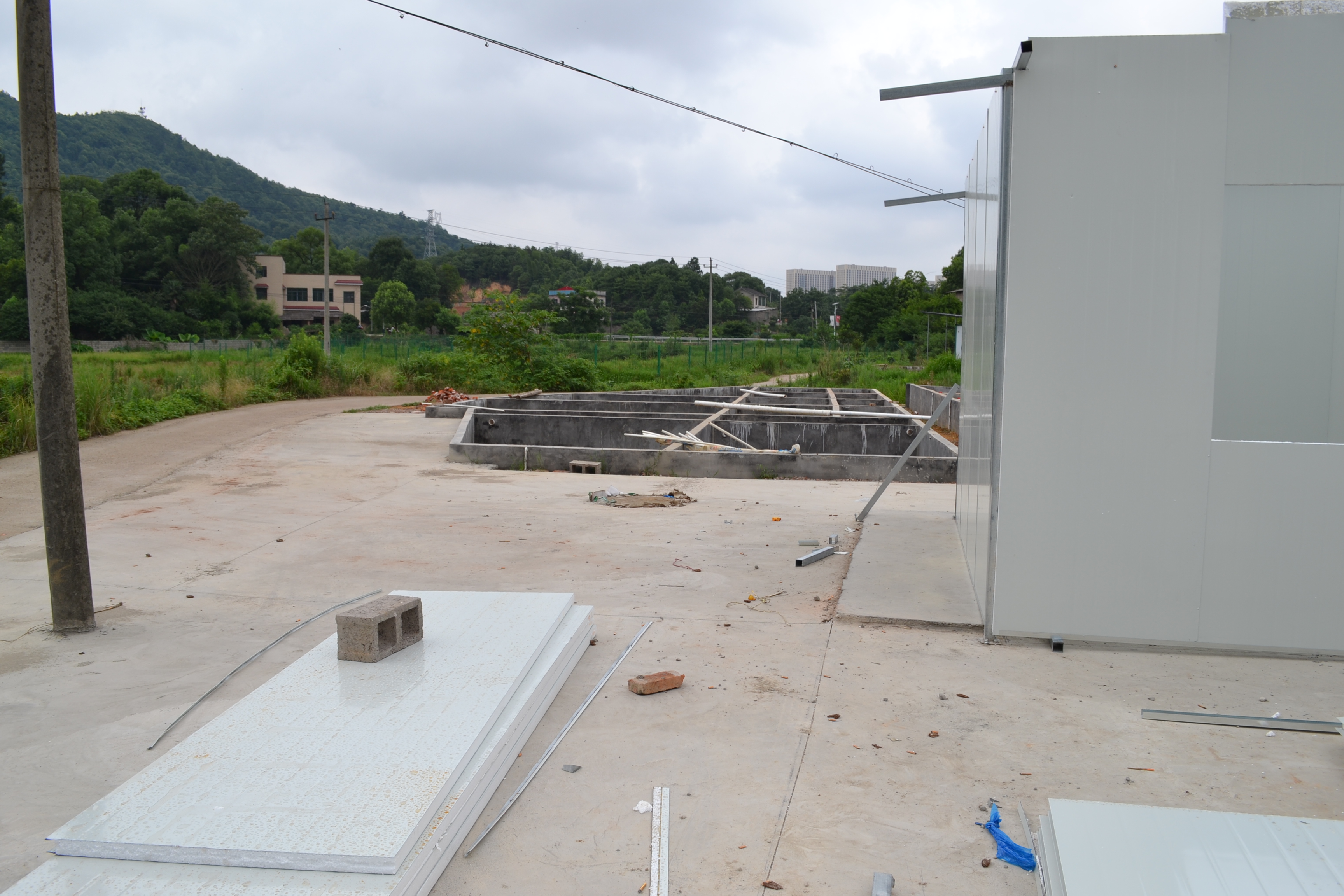 湖南最好的锦鲤养殖基地,湘潭锦鲤养殖