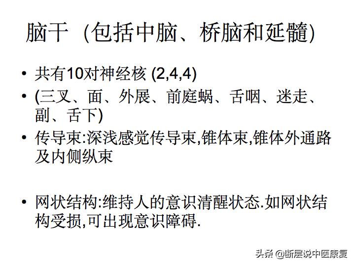 中枢神经系统断层解剖讲解,中枢神经3d解剖动画