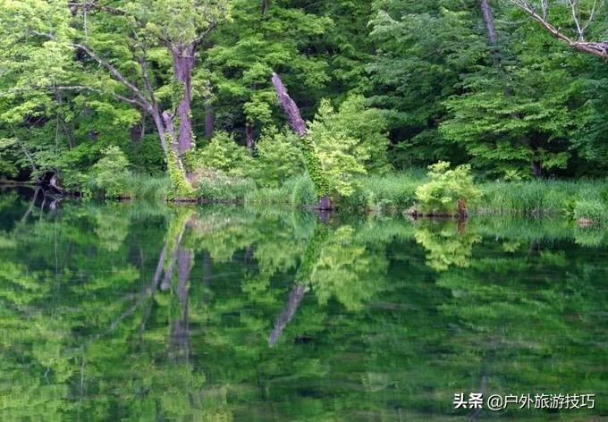 日本北海道富良野骑行攻略，试过在花田、花海中骑行吗？