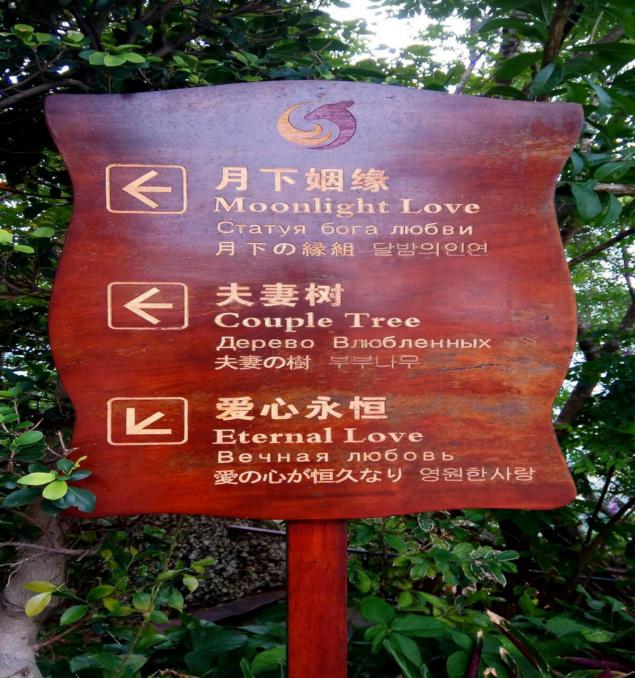 开始美丽的际遇dj版,开始美丽的际遇原唱