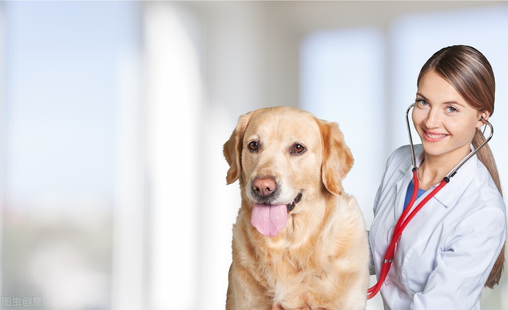 拔牙20天后发现怀孕,拔牙了发现怀孕了