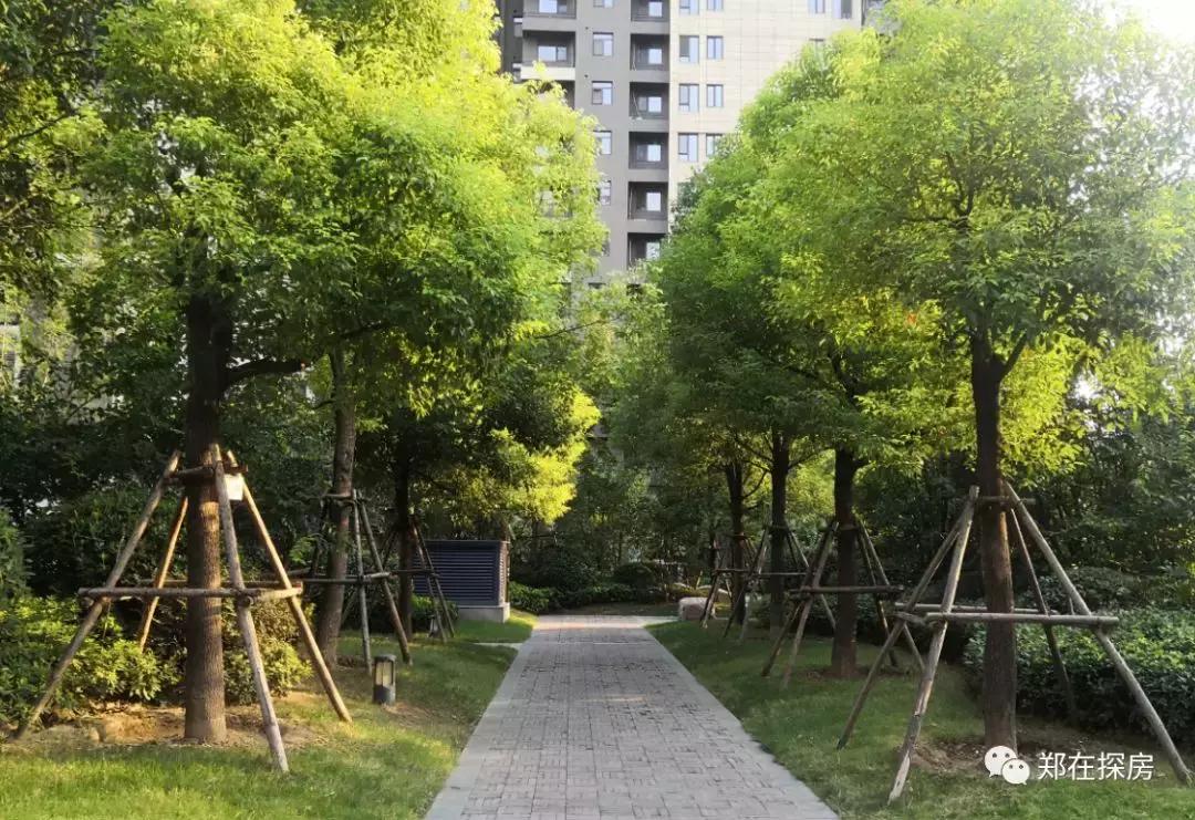 永威西溪花园装修效果,永威西溪花园业主