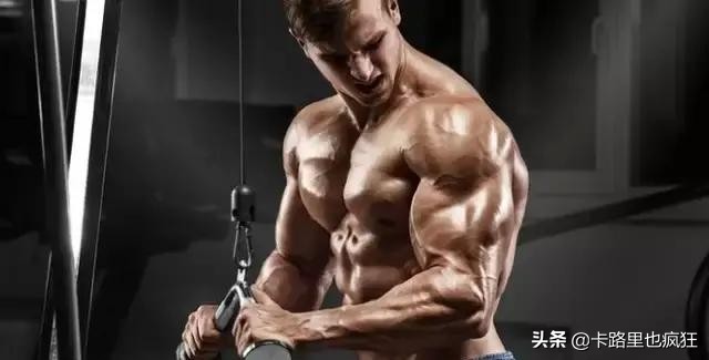 肩窄怎么办？先了解肩部结构，然后用这3个动作锻炼