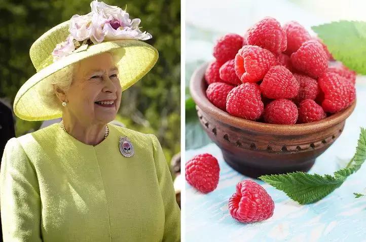 女王带小黑包旅行,女王随身包