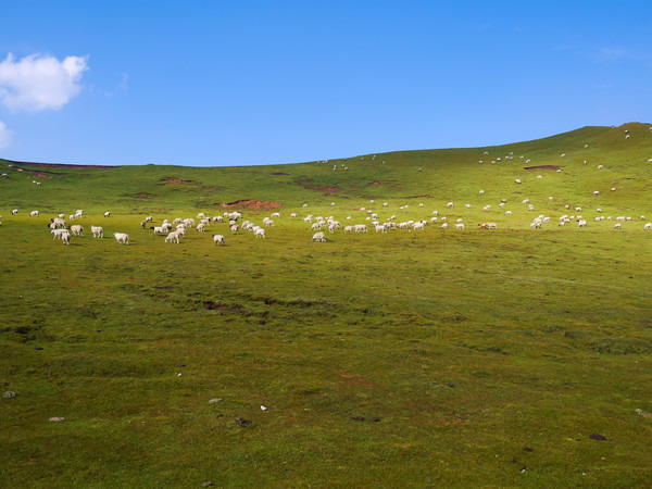 青甘大环线几月份去比较好,甘青大环线旅游跟团游旅行社报价