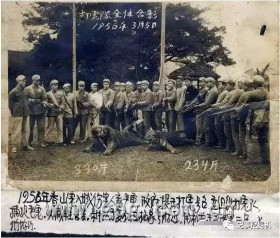 你有听过老虎咆哮吗,你听过野兽般的咆哮吗