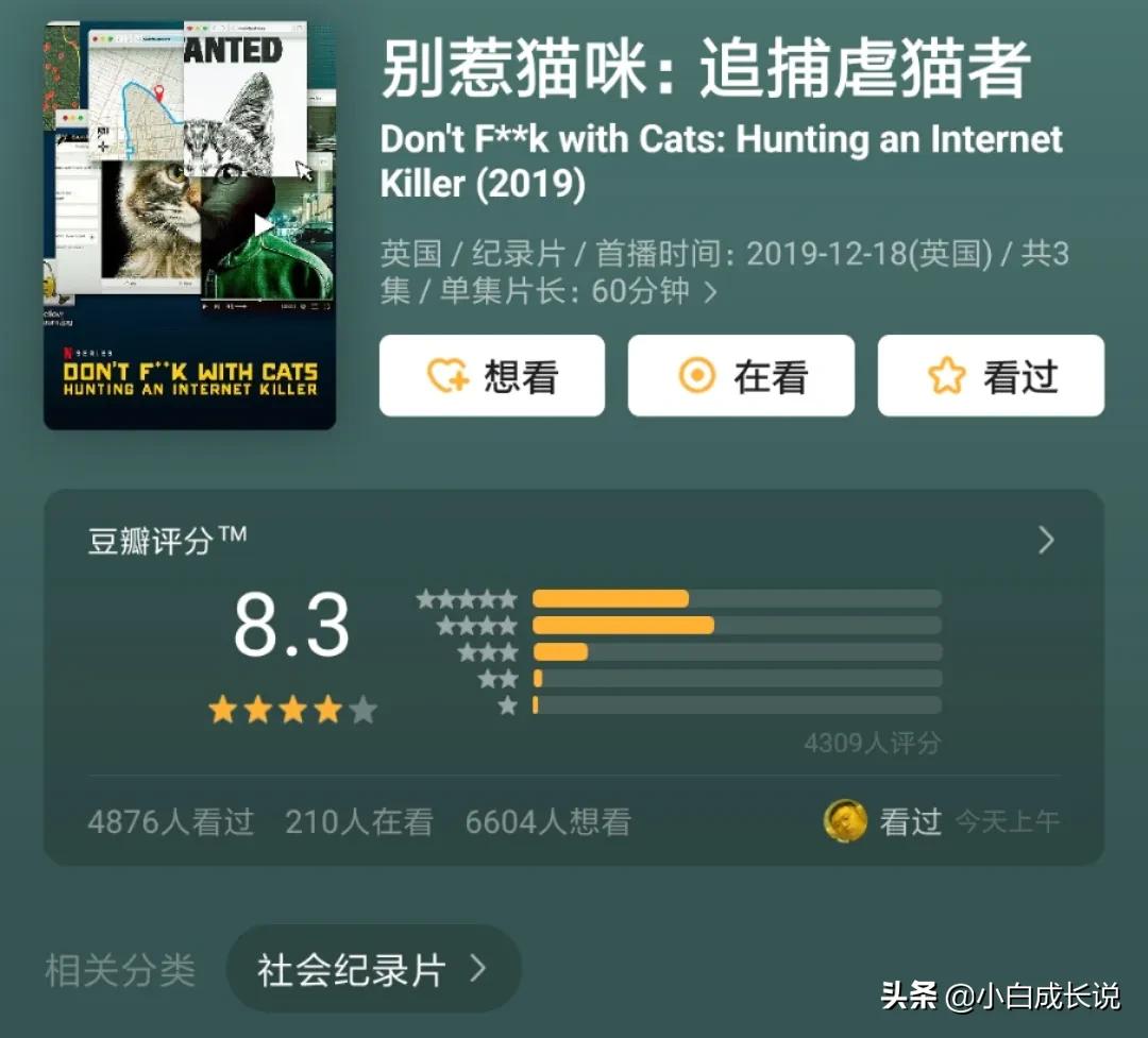 为什么虐猫会被批判,为什么现在虐猫都能上热搜