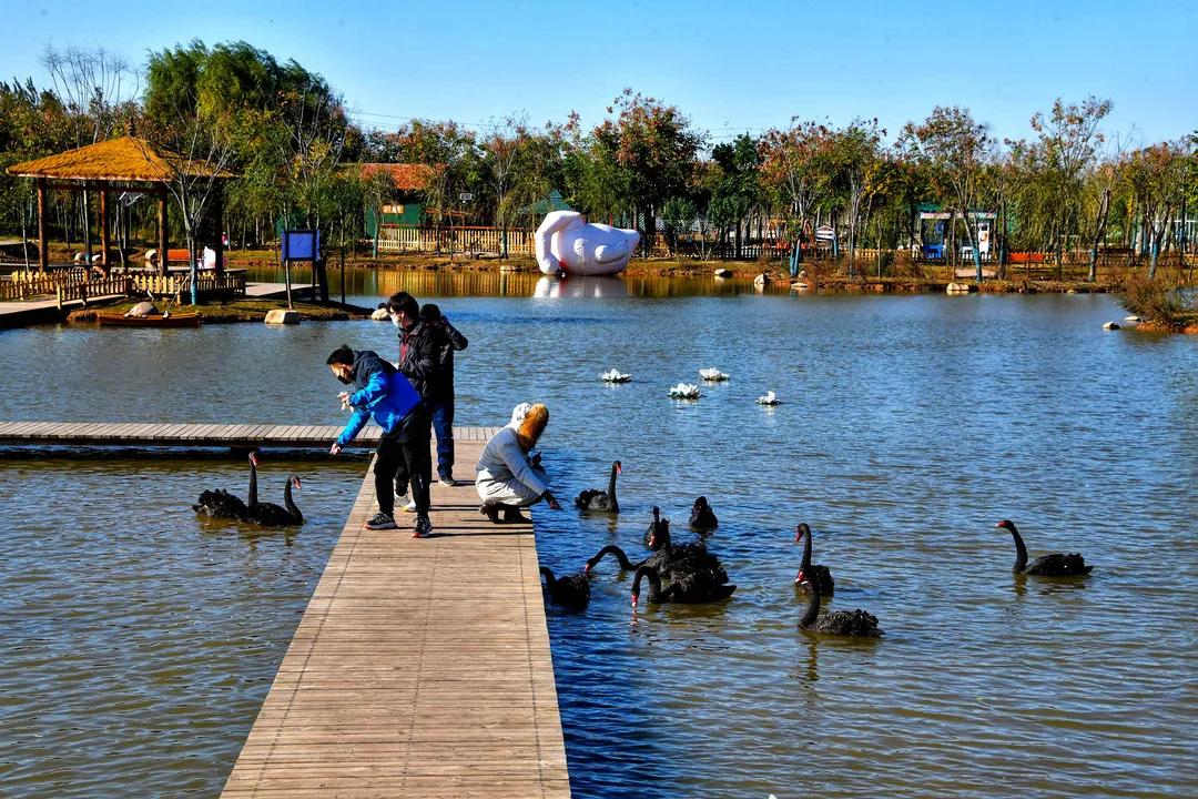 洛阳有收藏玉器的地方吗,洛龙区游玩收藏榜