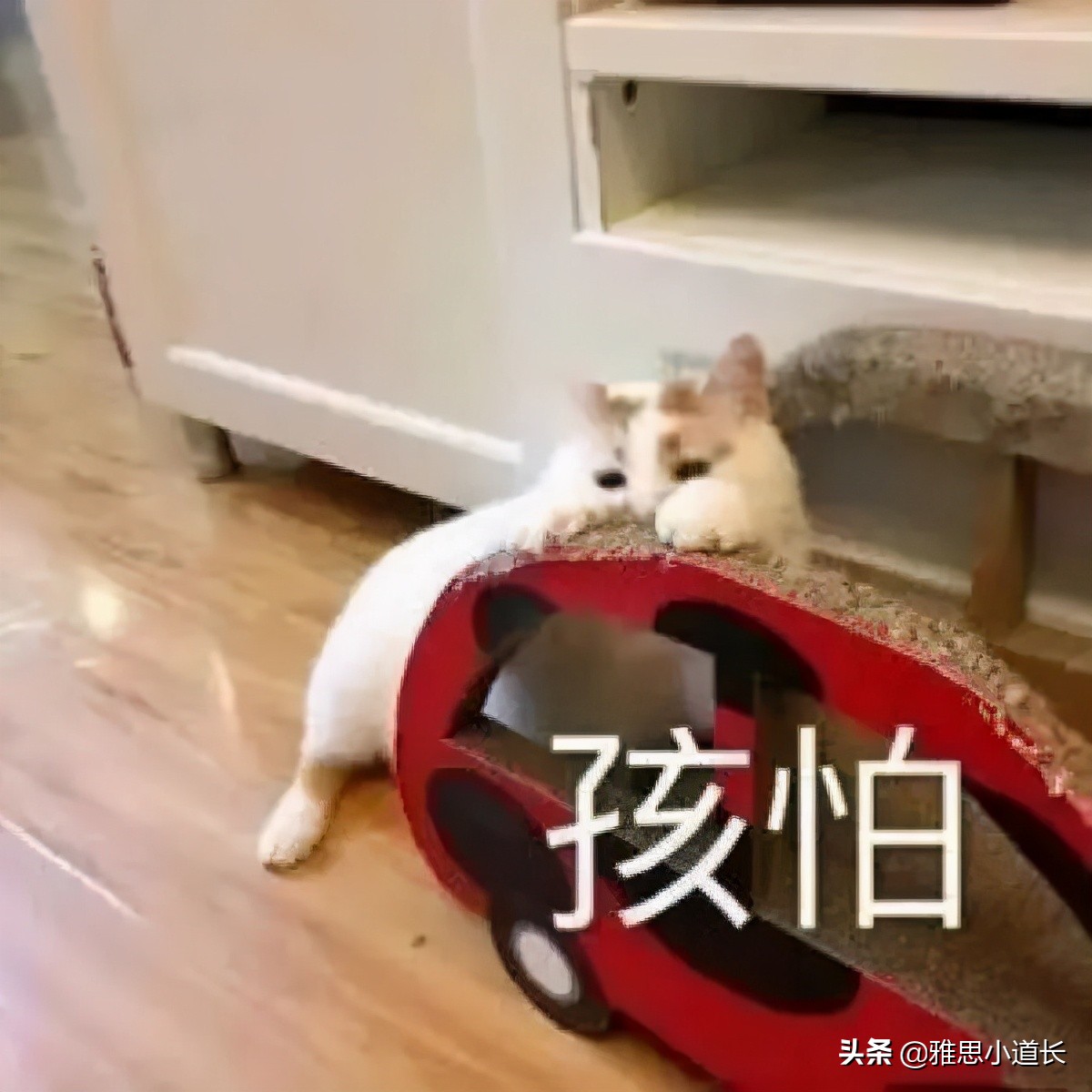 歪果仁对chinese的理解,歪果仁说iru啥意思