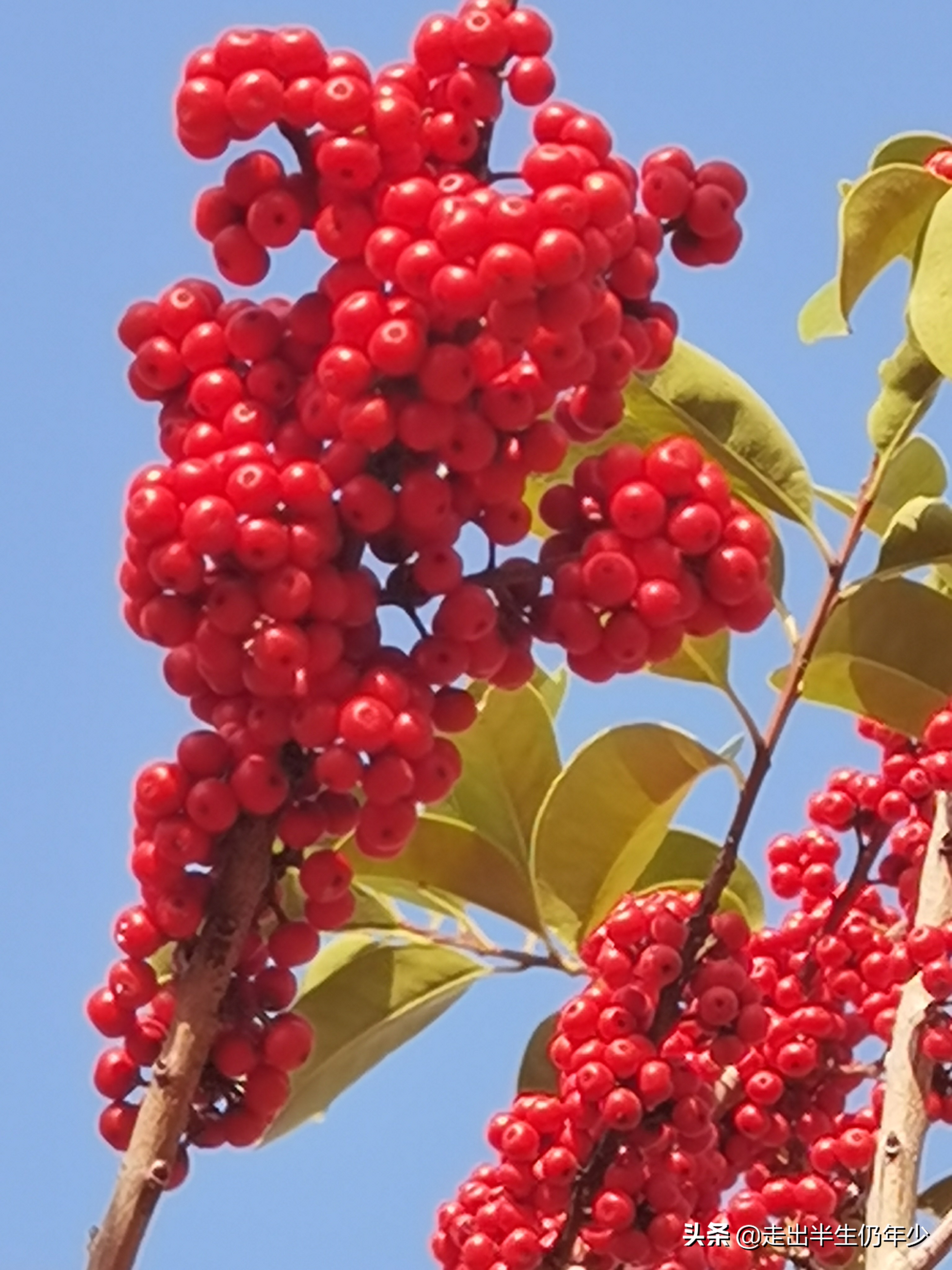 深圳足球场,深圳免费足球场