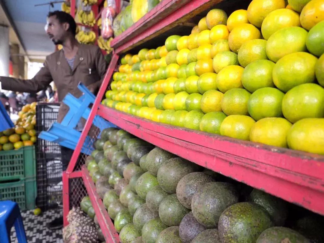 脂肪含量最高的水果牛油果和榴莲,牛油果吃了是不是抗衰老的