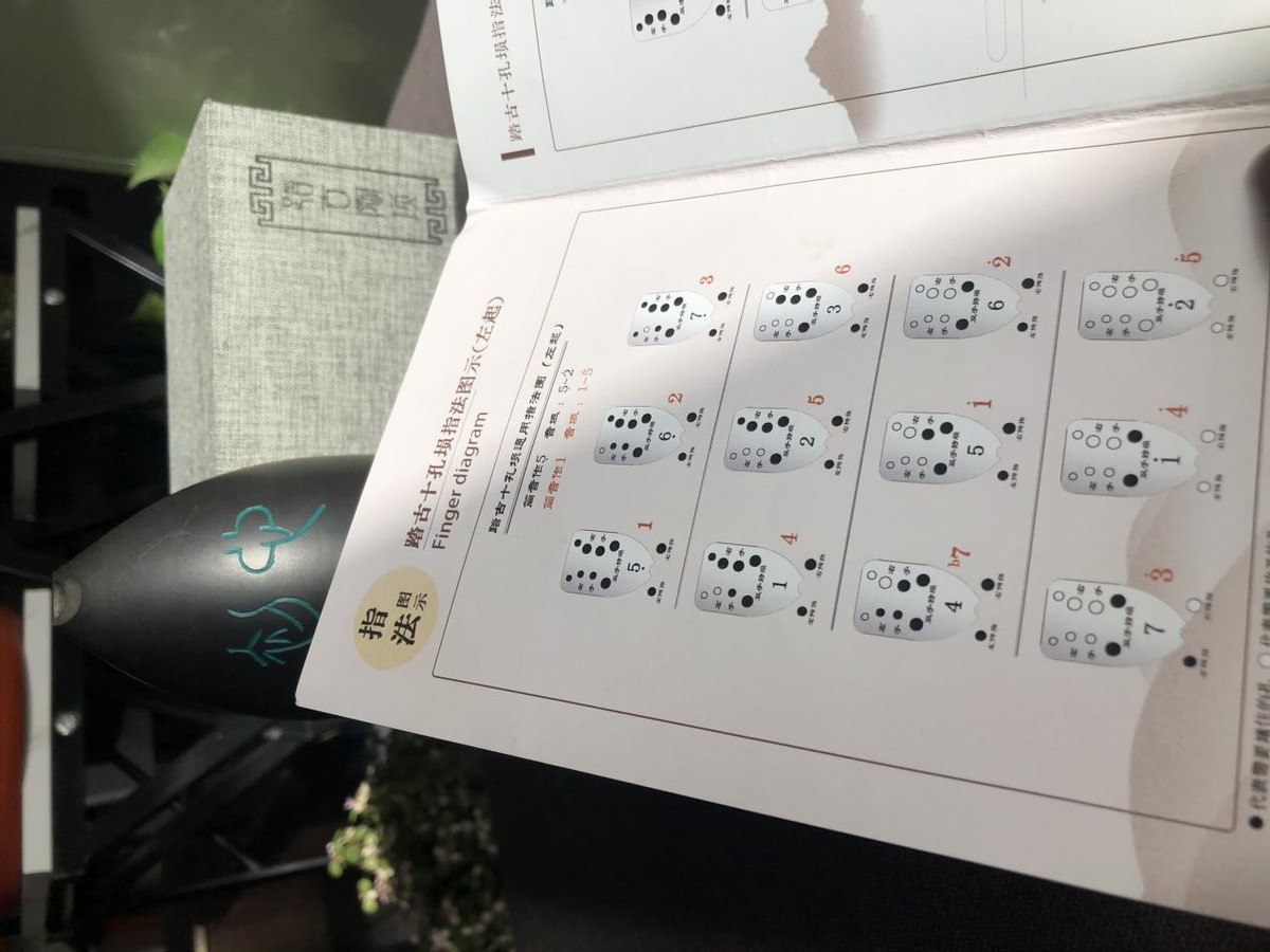 国潮风来啦,国潮风来了