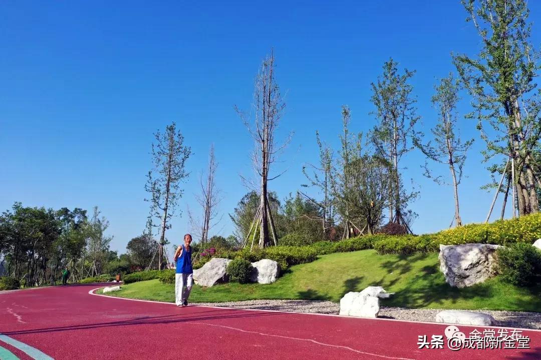 金堂人，你身边这条街已入选成都“最美街道”！