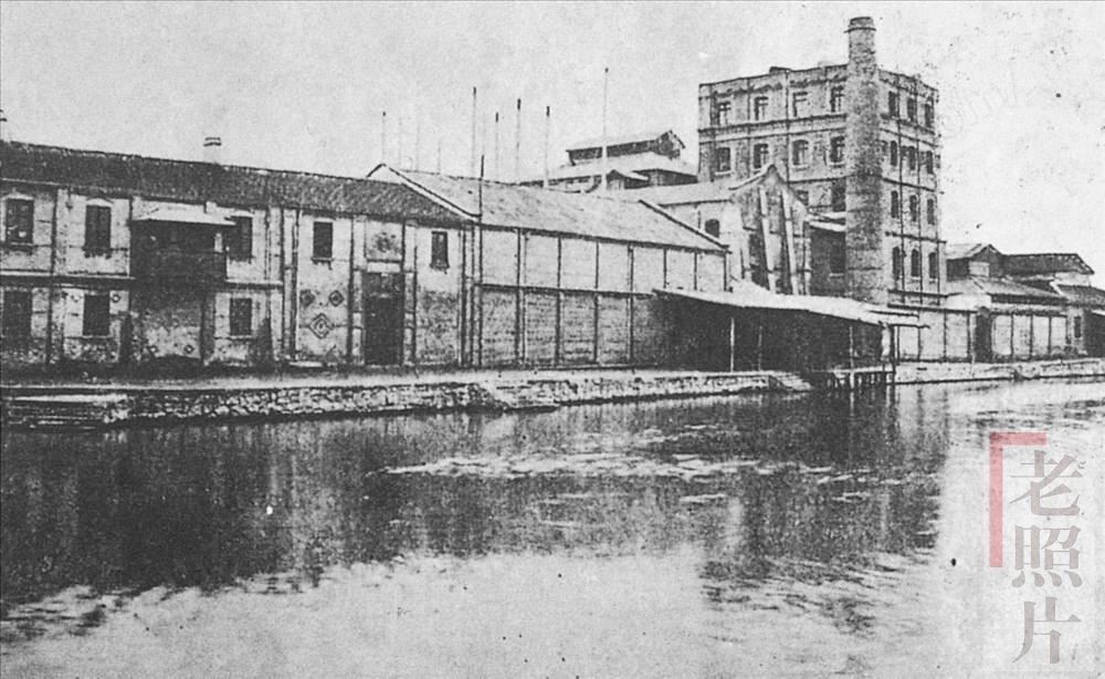 面粉大王电视剧,面粉大王历史