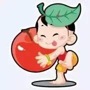 中国十大水果连锁品牌,海丰百果园水果连锁