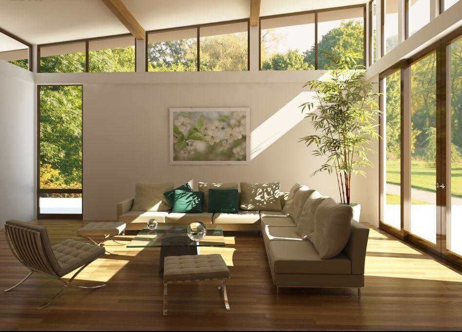 绿植真的能去除甲醛吗为什么,绿植去除甲醛靠谱吗