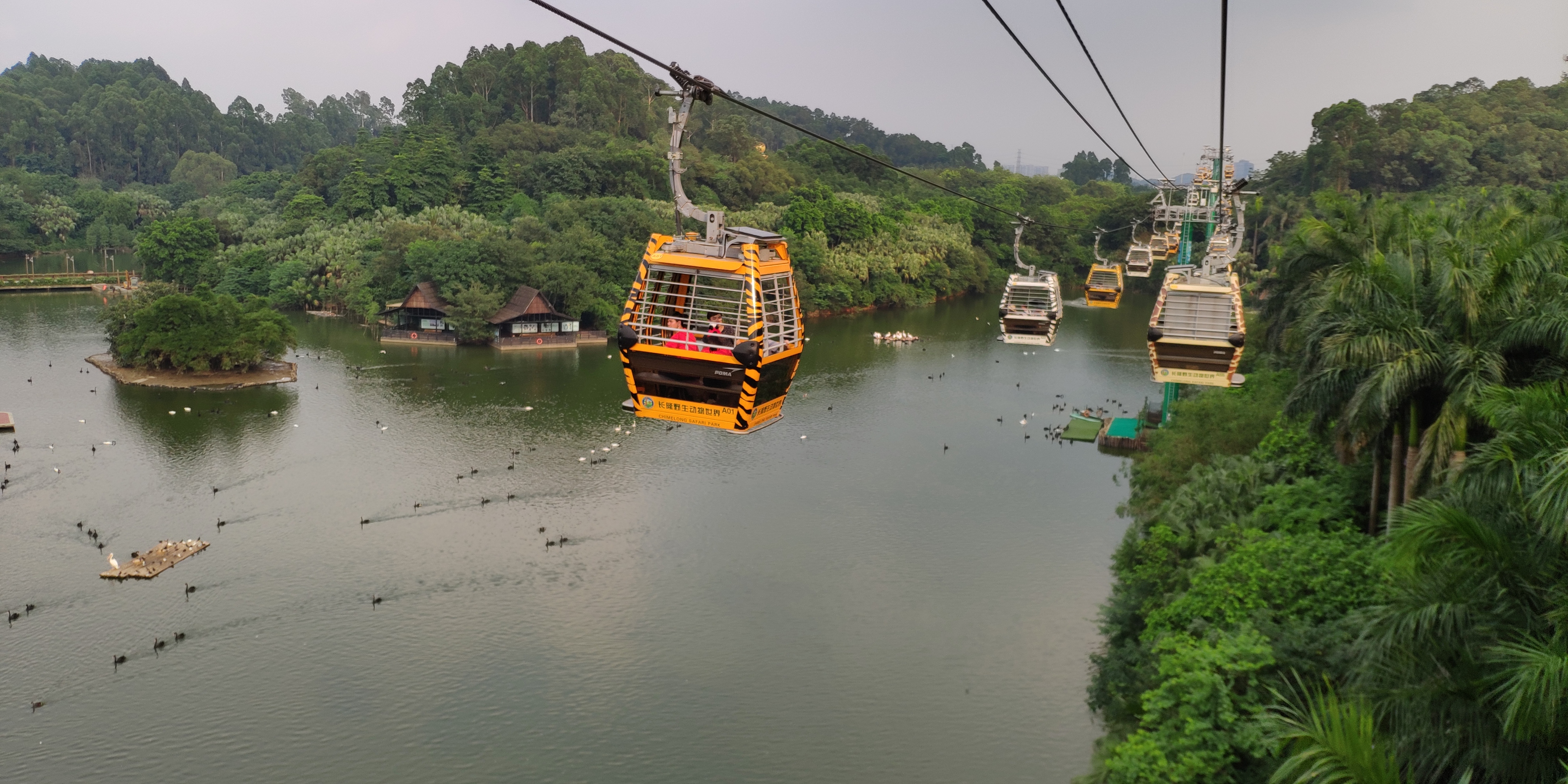 广州长隆哪个园区适合带孩子玩,广州长隆有哪些好地方