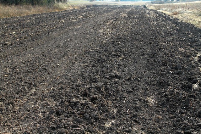 今年秋雨较多的地区有哪些,今年秋雨多是什么现象