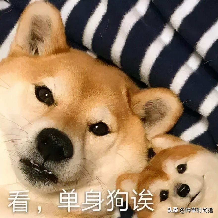 又飒又野的棒球服怎么穿才好看,又野又痞的穿搭