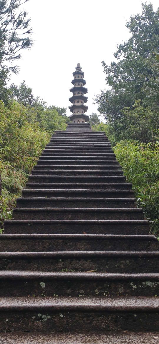 雨中游大奇山,雨中游太湖