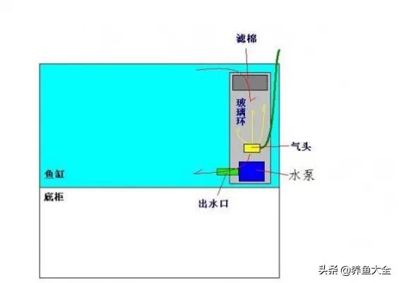 鱼缸过滤详细讲解,学会这一招鱼缸清澈