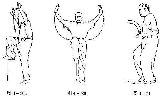 白鹤亮翅和白鹤展翅哪个更厉害,形意拳白鹤亮翅教学视频