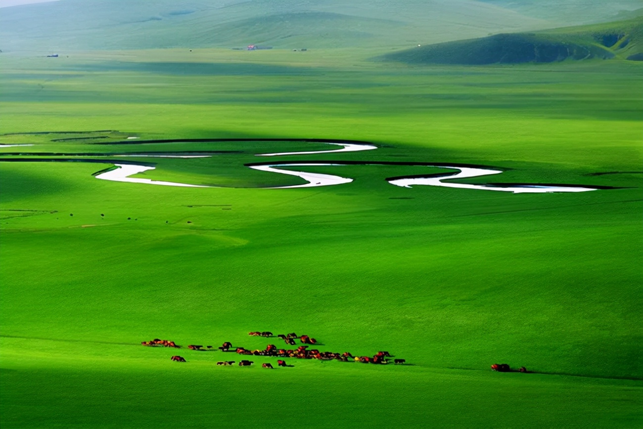 草原男人的雄风又岂是小鲜肉能比？这20位内蒙男星个个都是真爷们
