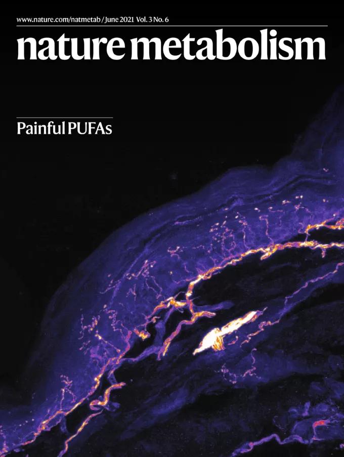 自然期刊封面,最新自然期刊