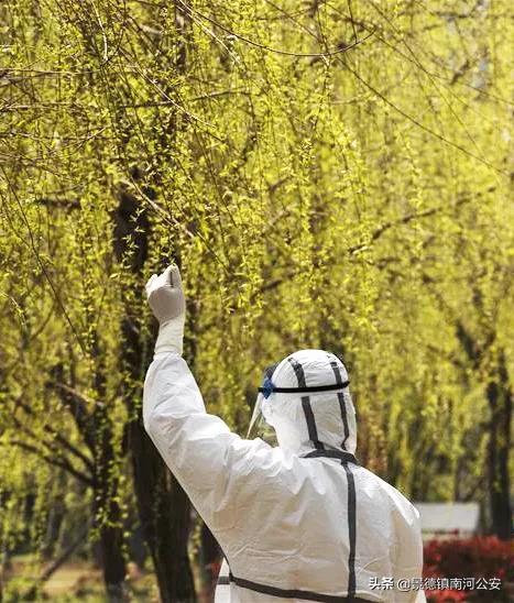 最新战疫感悟,战疫的50个瞬间